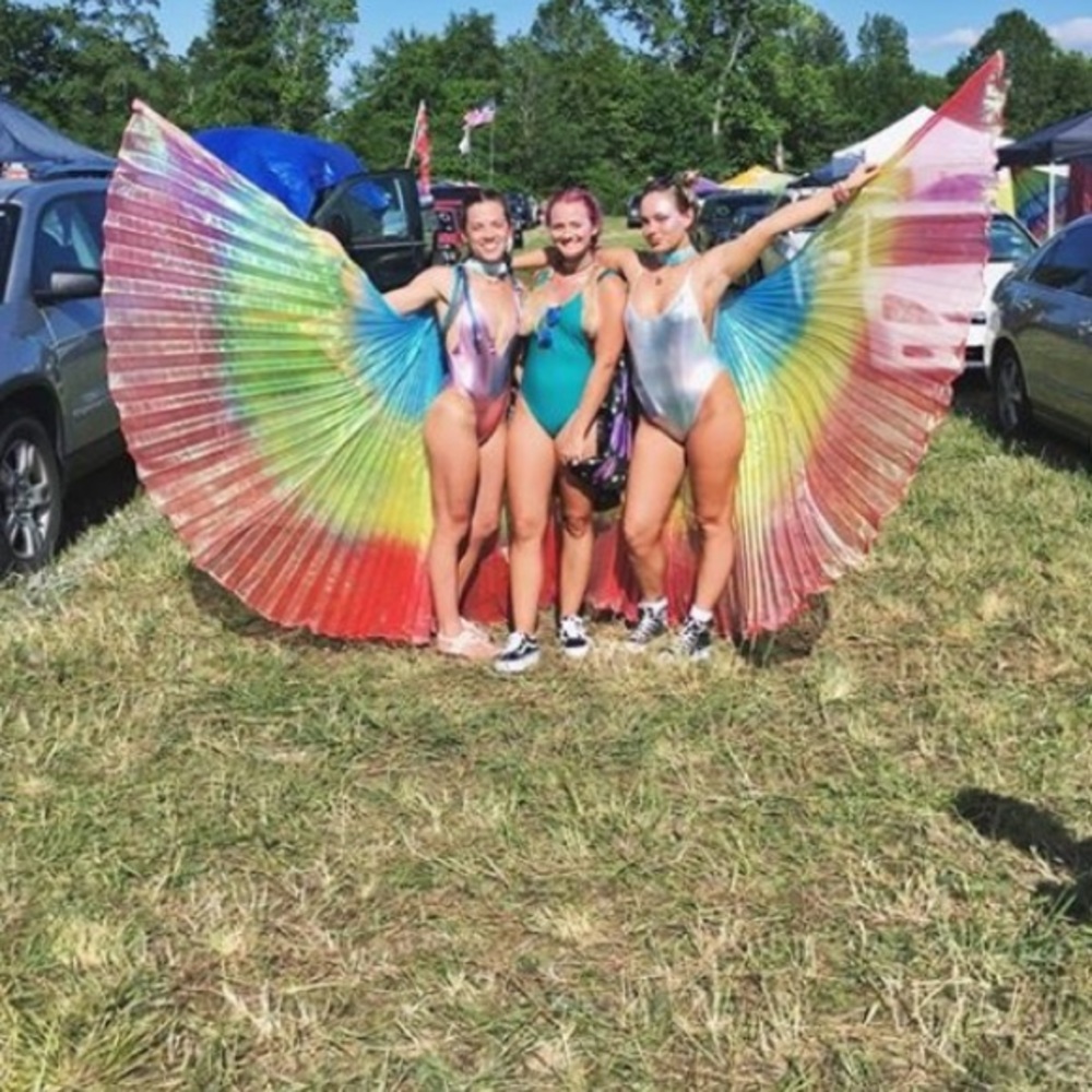Gorgeous Festival Wings